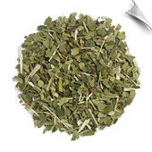 Yerba Mate Herbal Tea Yerba Mate Herbal Tea