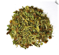 Tulsi Tea (Holy Basil)